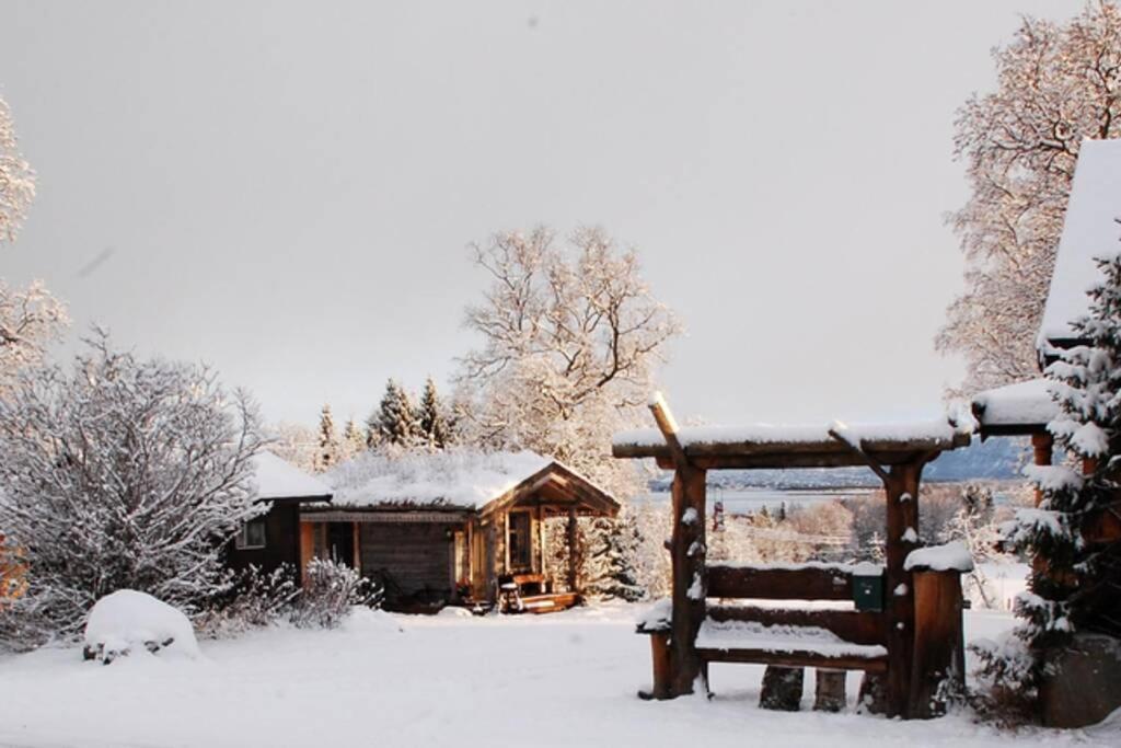 100 Years Old Norwegian Log House In Tromsø