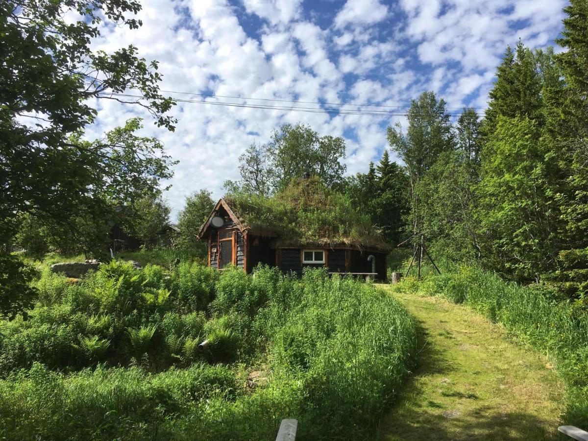 100 Years Old Norwegian Log House In Ferienhaus *