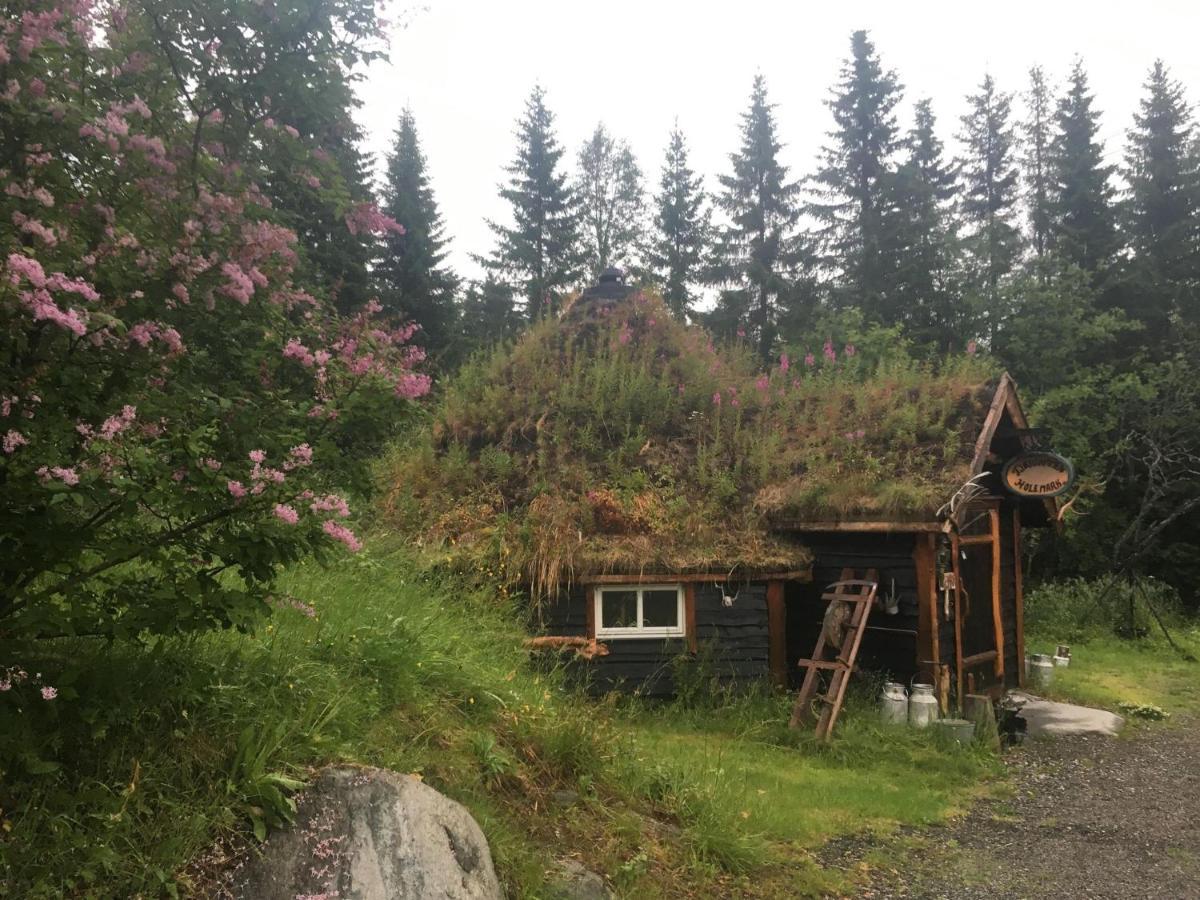100 Years Old Norwegian Log House In Ferienhaus Tromsø